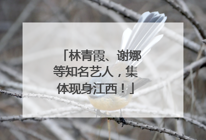 林青霞、谢娜等知名艺人，集体现身江西！