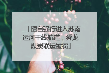 擅自强行进入苏南运河干线航道，舜龙煤炭联运被罚