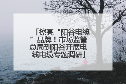 擦亮“阳谷电缆”品牌！市场监管总局到阳谷开展电线电缆专题调研