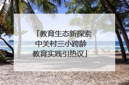 教育生态新探索 中关村三小跨龄教育实践引热议