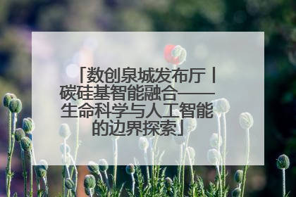 数创泉城发布厅丨碳硅基智能融合——生命科学与人工智能的边界探索