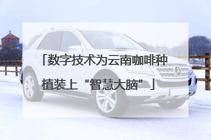 数字技术为云南咖啡种植装上“智慧大脑”