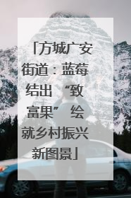方城广安街道：蓝莓结出 “致富果” 绘就乡村振兴新图景