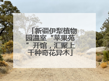 新疆伊犁植物园温室“苹果苑”开馆，汇聚上千种奇花异木