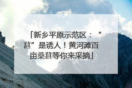 新乡平原示范区：“葚”是诱人！黄河滩百亩桑葚等你来采摘