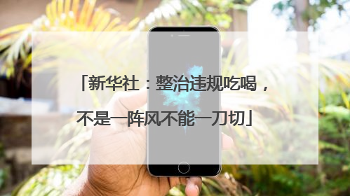 新华社：整治违规吃喝，不是一阵风不能一刀切