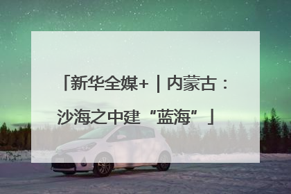 新华全媒+｜内蒙古：沙海之中建“蓝海”