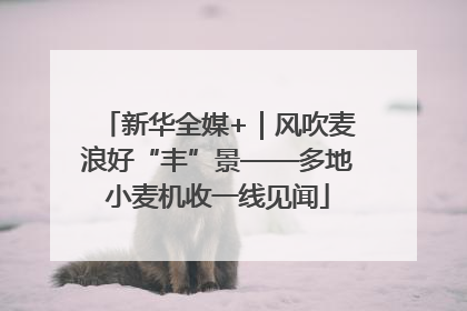 新华全媒+｜风吹麦浪好“丰”景——多地小麦机收一线见闻