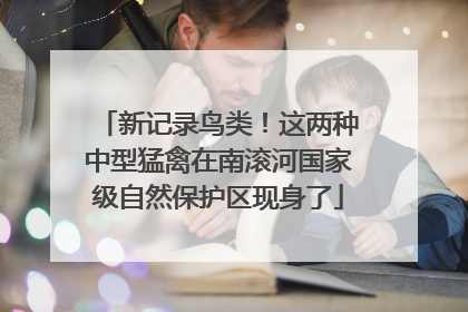 新记录鸟类！这两种中型猛禽在南滚河国家级自然保护区现身了