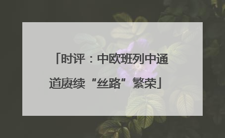 时评：中欧班列中通道赓续“丝路”繁荣
