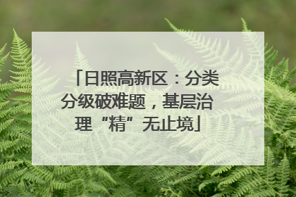 日照高新区：分类分级破难题，基层治理“精”无止境