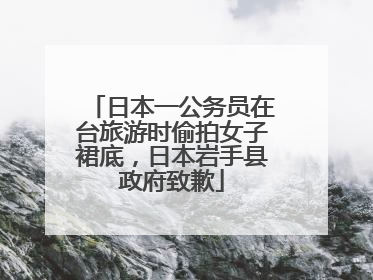 日本一公务员在台旅游时偷拍女子裙底，日本岩手县政府致歉
