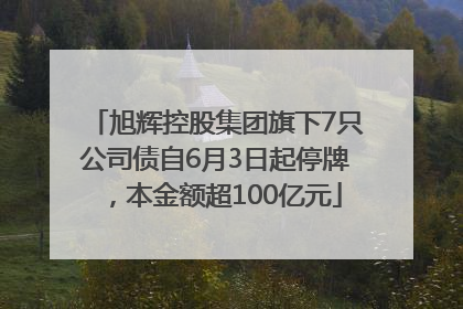 旭辉控股集团旗下7只公司债自6月3日起停牌，本金额超100亿元