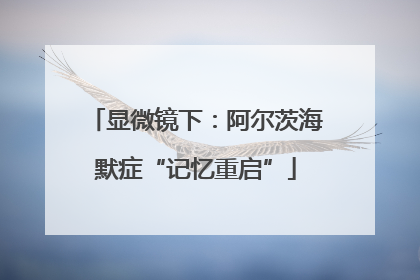 显微镜下：阿尔茨海默症“记忆重启”