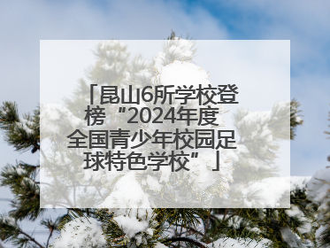 昆山6所学校登榜“2024年度全国青少年校园足球特色学校”