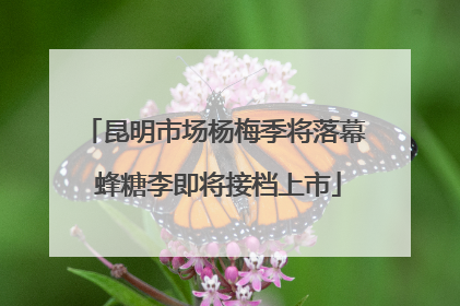 昆明市场杨梅季将落幕 蜂糖李即将接档上市