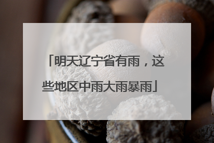 明天辽宁省有雨，这些地区中雨大雨暴雨