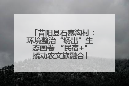 昔阳县石寨沟村：环境整治“绣出”生态画卷 “民宿+”撬动农文旅融合