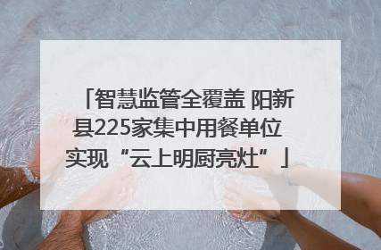 智慧监管全覆盖 阳新县225家集中用餐单位实现“云上明厨亮灶”