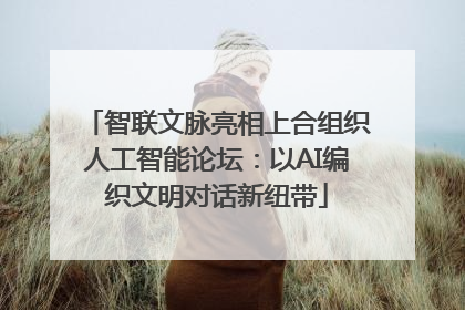 智联文脉亮相上合组织人工智能论坛：以AI编织文明对话新纽带