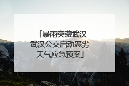 暴雨突袭武汉 武汉公交启动恶劣天气应急预案