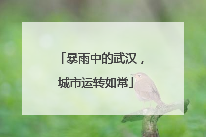 暴雨中的武汉，城市运转如常