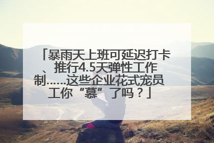 暴雨天上班可延迟打卡、推行4.5天弹性工作制……这些企业花式宠员工你“慕”了吗？