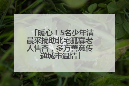 暖心！5名少年清晨采摘助北宅孤寡老人售杏，多方善意传递城市温情