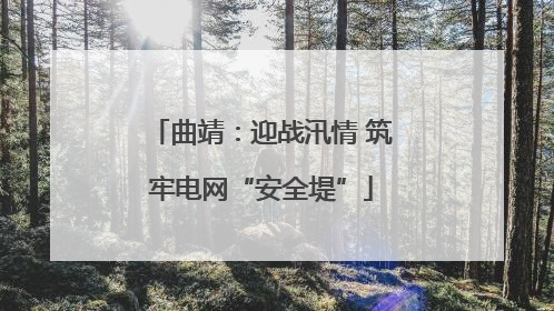 曲靖：迎战汛情 筑牢电网“安全堤”