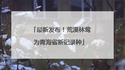 最新发布！荒漠林莺为青海省新记录种