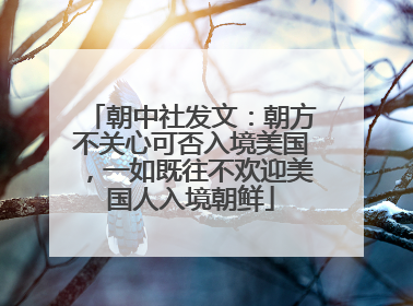 朝中社发文：朝方不关心可否入境美国，一如既往不欢迎美国人入境朝鲜