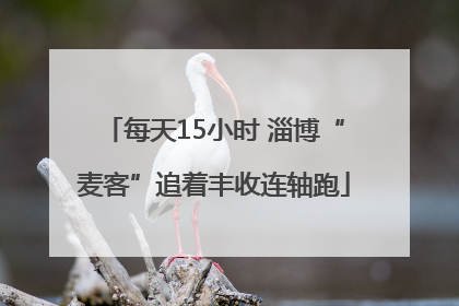 每天15小时 淄博“麦客”追着丰收连轴跑