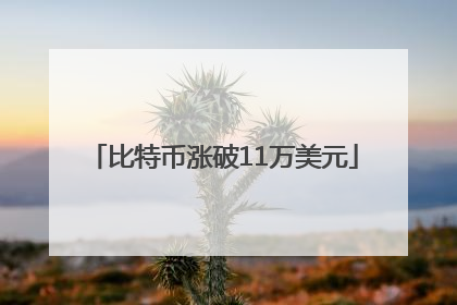 比特币涨破11万美元