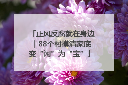 正风反腐就在身边｜88个村摸清家底变“闲”为“宝”