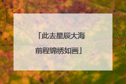 此去星辰大海 前程锦绣如画