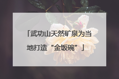 武功山天然矿泉为当地打造“金饭碗”