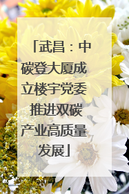 武昌：中碳登大厦成立楼宇党委 推进双碳产业高质量发展