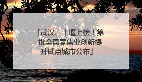 武汉、十堰上榜！第一批全国零售业创新提升试点城市公布
