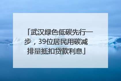 武汉绿色低碳先行一步，39位居民用碳减排量抵扣贷款利息