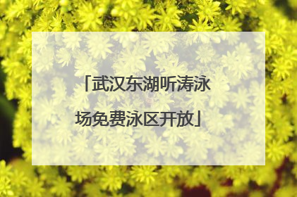 武汉东湖听涛泳场免费泳区开放