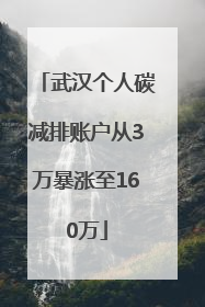 武汉个人碳减排账户从3万暴涨至160万