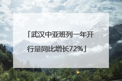 武汉中亚班列一年开行量同比增长72%