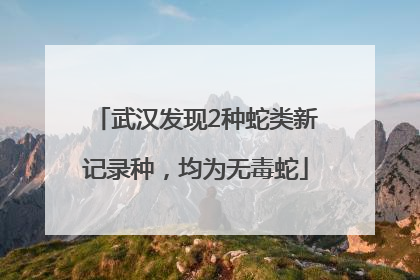 武汉发现2种蛇类新记录种，均为无毒蛇