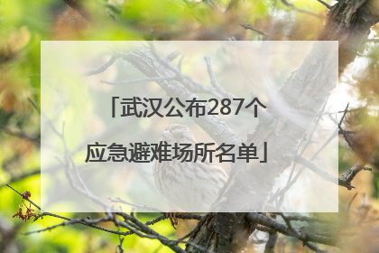 武汉公布287个应急避难场所名单