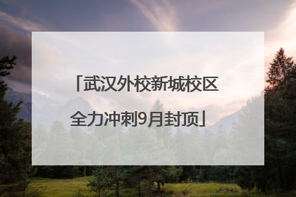 武汉外校新城校区全力冲刺9月封顶