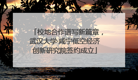 校地合作谱写新篇章，武汉大学·咸宁低空经济创新研究院签约成立