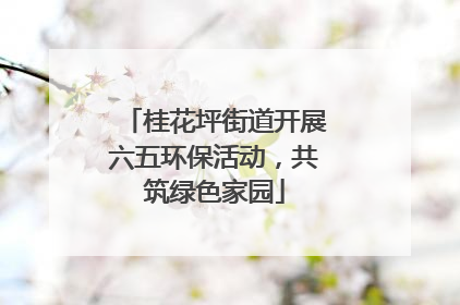 桂花坪街道开展六五环保活动，共筑绿色家园