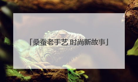 桑蚕老手艺 时尚新故事