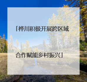 桦川积极开展跨区域合作赋能乡村振兴