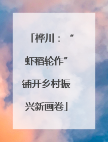 桦川：“虾稻轮作”铺开乡村振兴新画卷